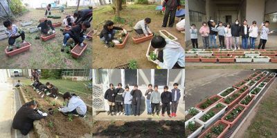 花いっぱい運動